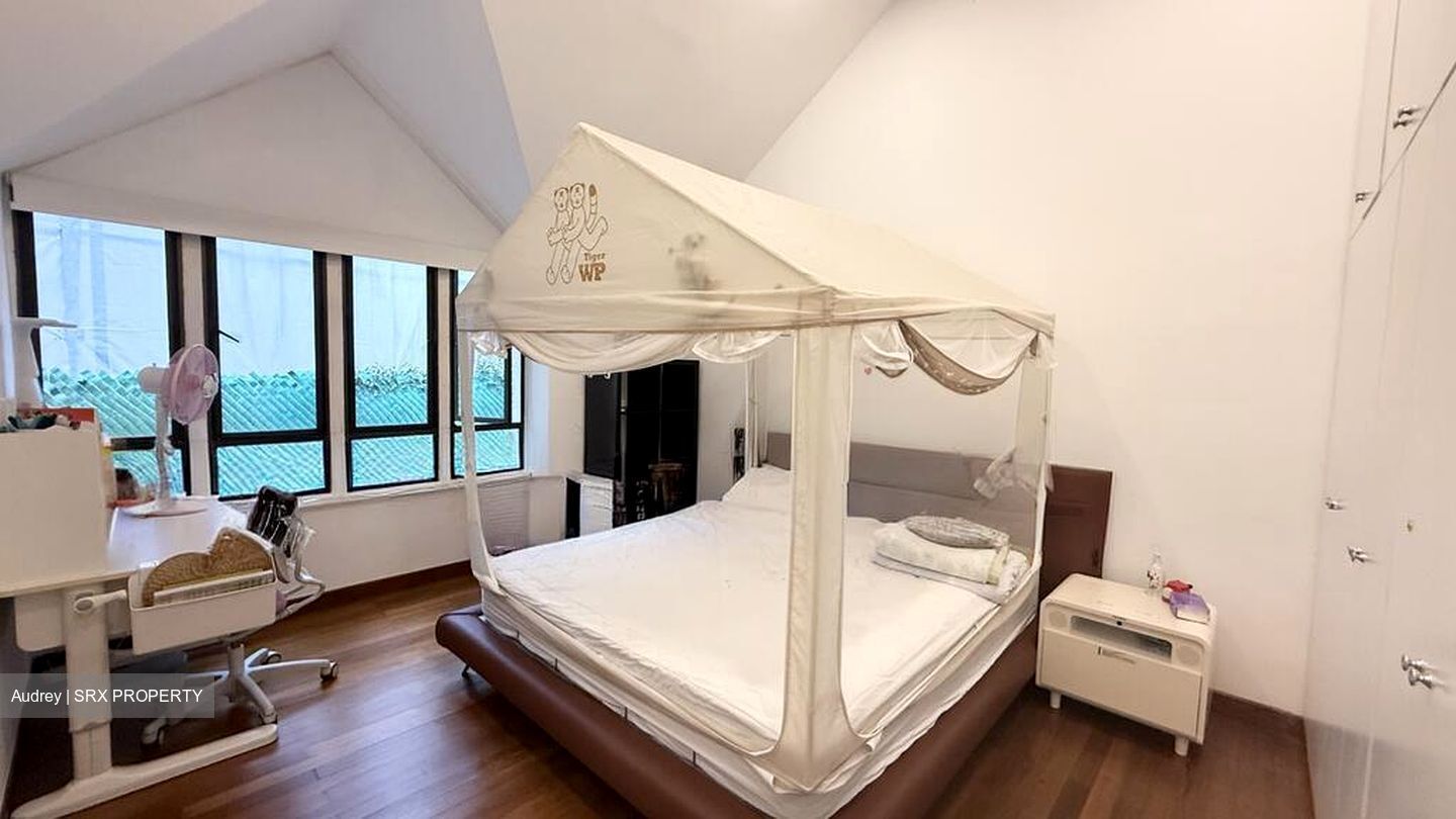 Leedon Park (D10), Detached #498095891